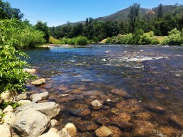 Villa Agave Experience American River